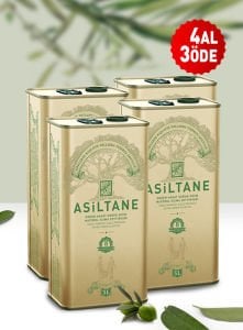 Erken Hasat Soğuk Sıkım Natürel Sızma Zeytinyağı 3L Teneke 4 AL 3 ÖDE
