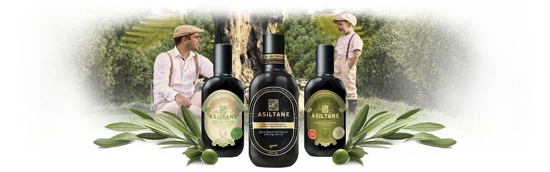 asiltane