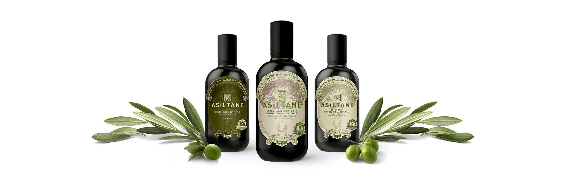 asiltane
